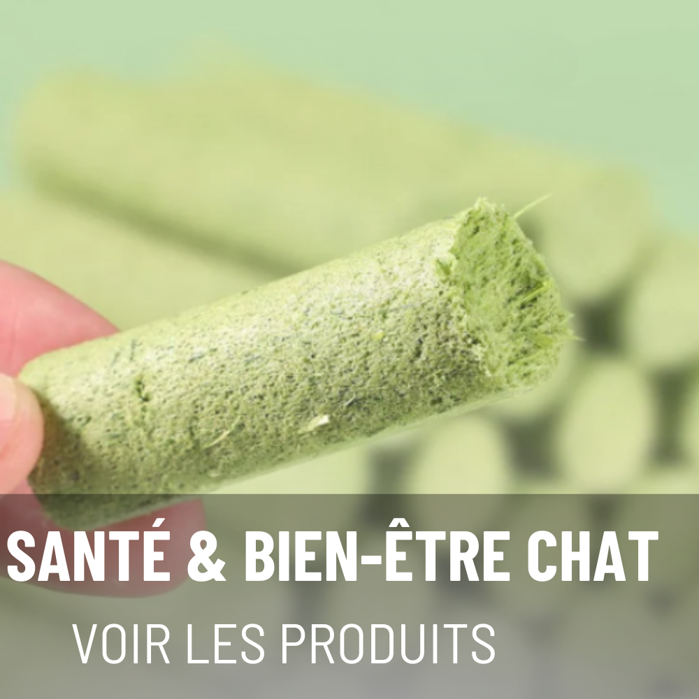 SANTÉ & BIEN-ÊTRE CHAT