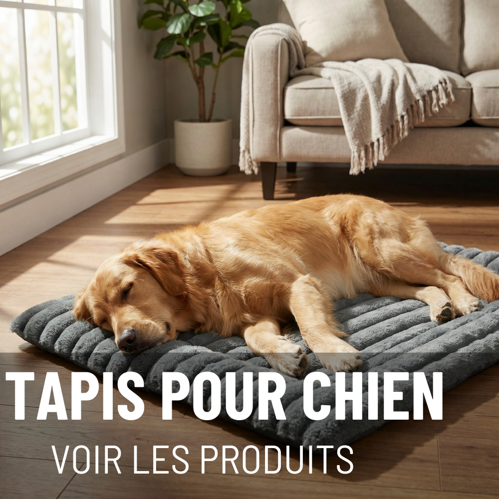 TAPIS POUR CHIEN