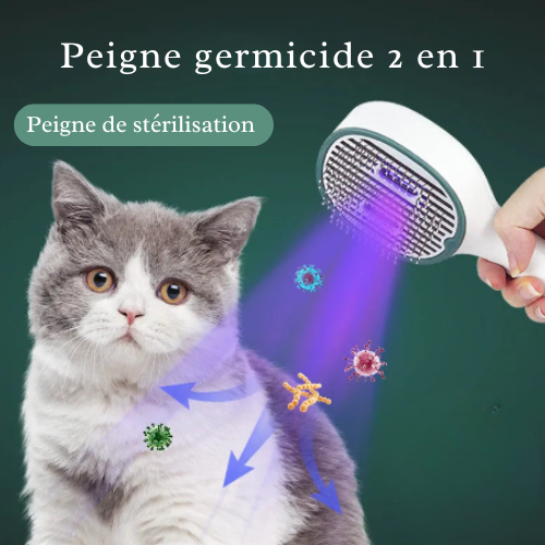 BROSSE LED™ — Brosse de stérilisation pour pelage lisse et sain