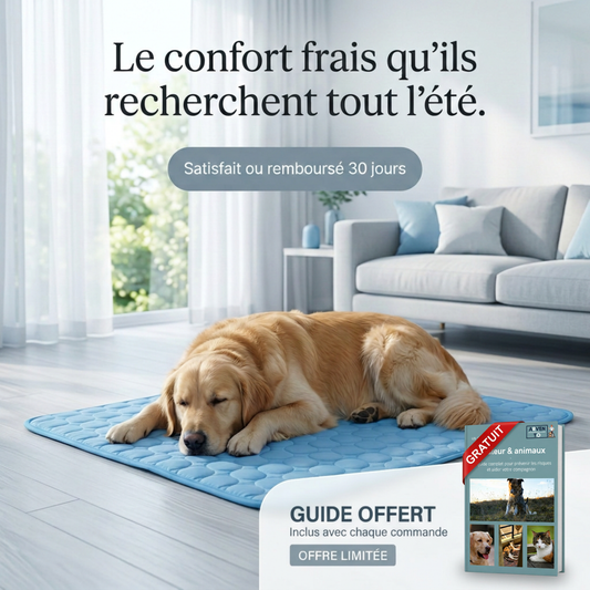 FRESHPAD™ - Verfrissende mat voor honden en katten
