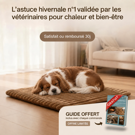 TAPIS AUTO-CHAUFFANT POUR CHIEN — Chaleur naturelle, sans électricité, parfait pour l'hiver