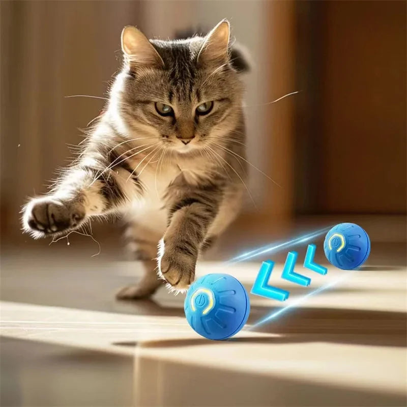 cat toy interactive ball