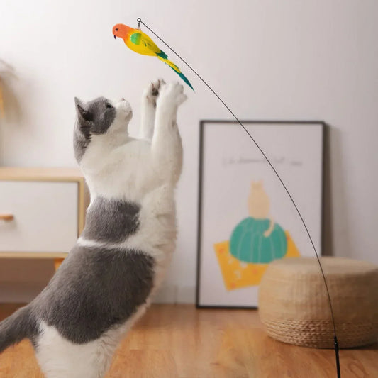 SKYCHASE™ — Oiseau interactif pour chats actifs